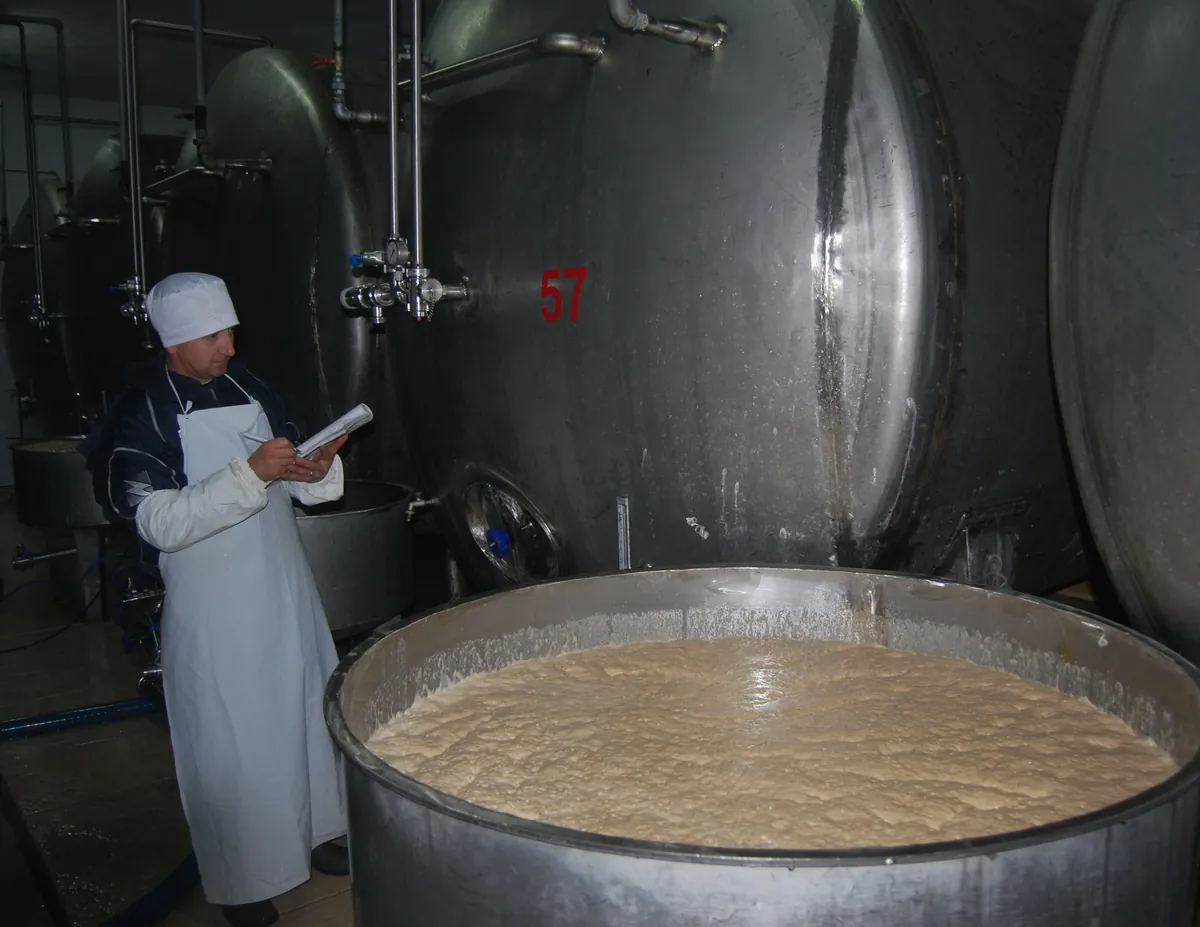 Teknologe pranë tankut të fermentimit